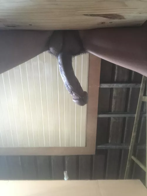 Enjoying the view down there?