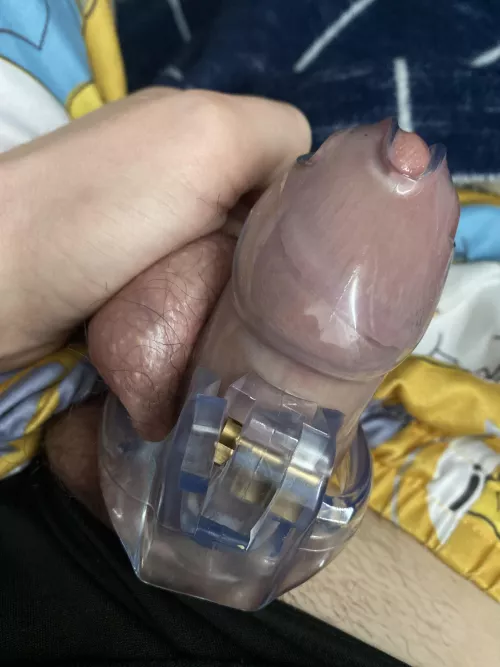 Erections to strong for cage