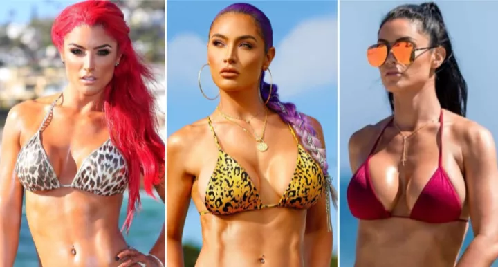 Eva Marie got some nice tits