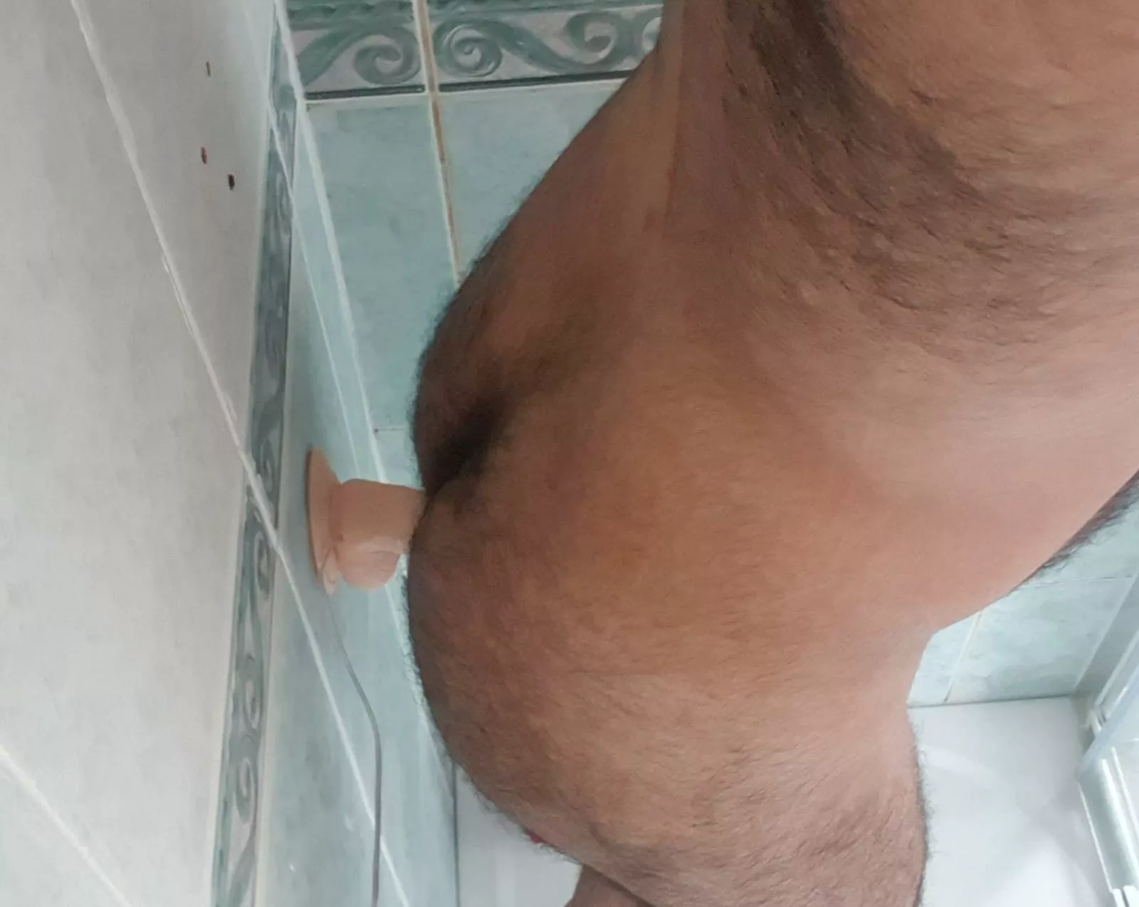 Even an otter needs to be fucked sometimes 🙃