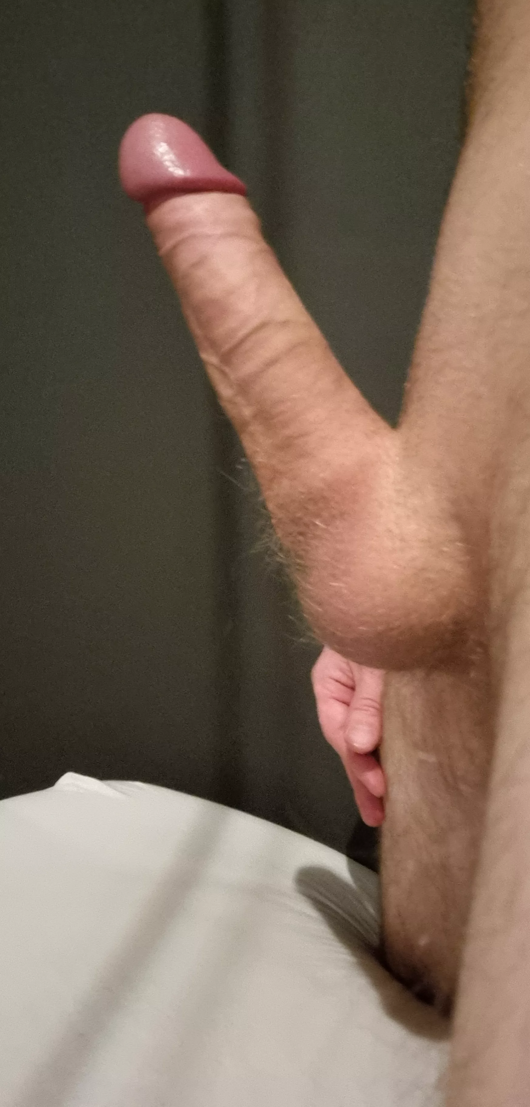 Every morning, ready to go