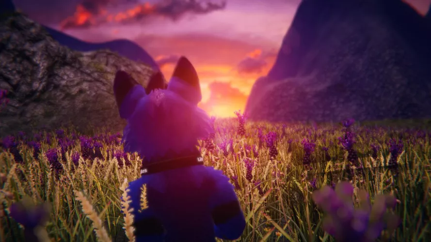 Exploring the Wilderness ✨