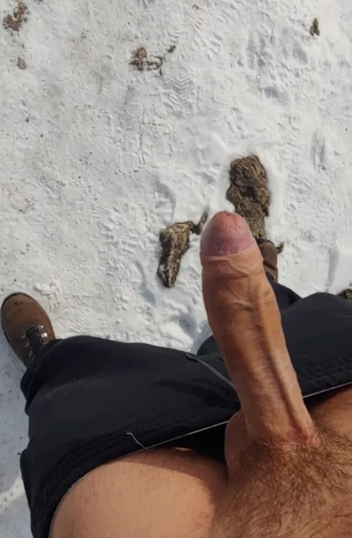 Exposing my uncut Canadian cock on a public trail 🇨🇦🐓