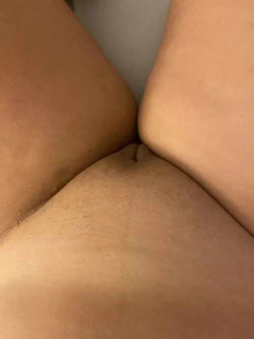 (F) 41
