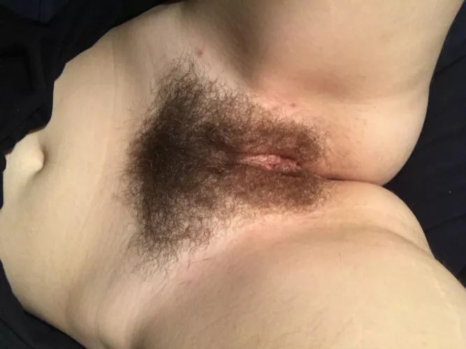 [F] AMA while you enjoy this picture