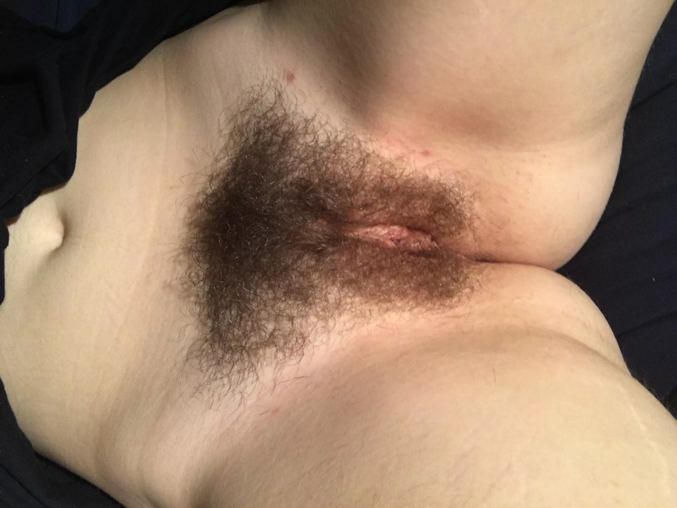 [F] AMA while you enjoy this picture