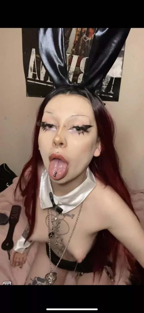 [F] bunny girl at your service 🐰