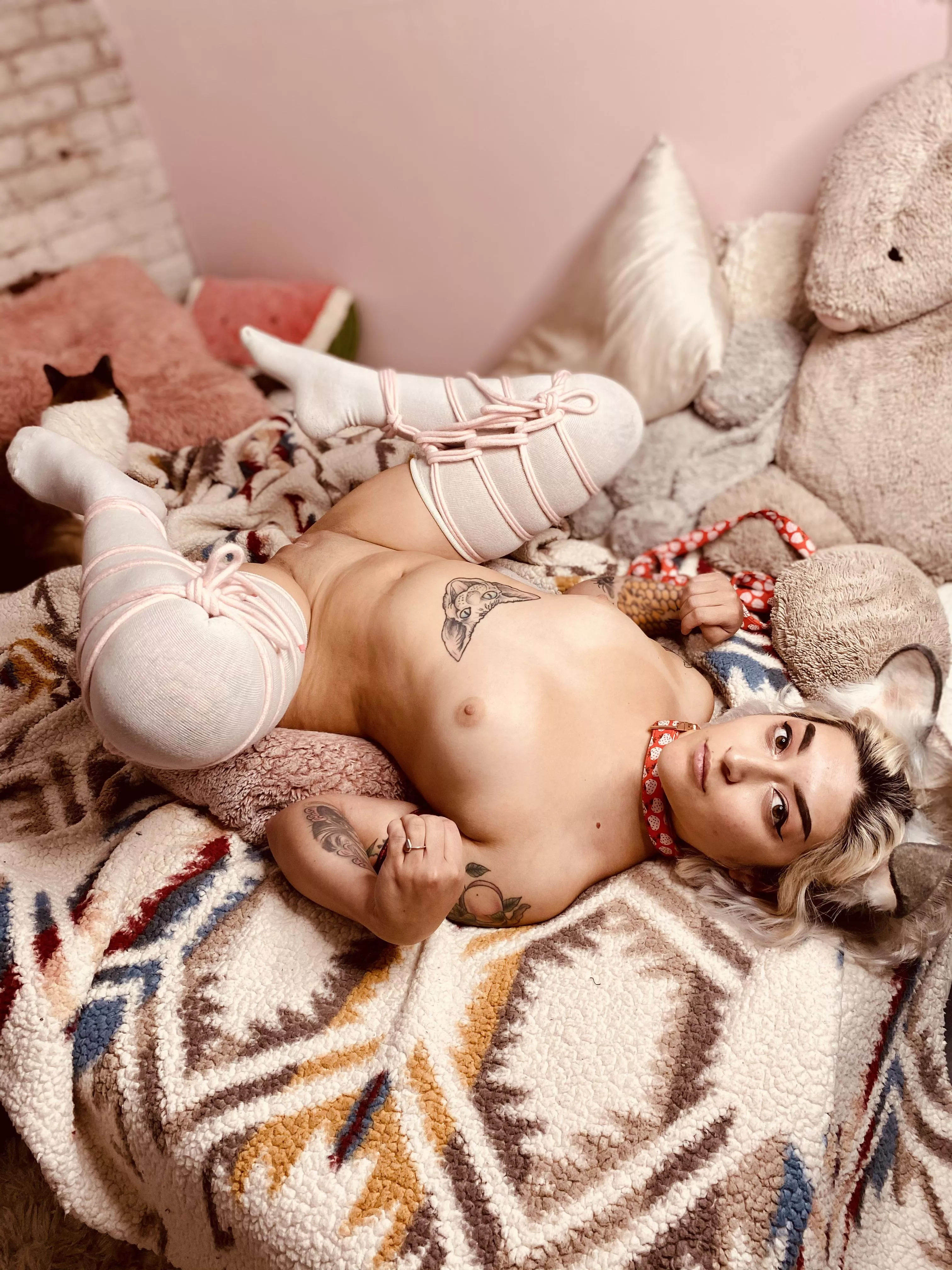 [f] I’m a little tied up at the moment 🐶