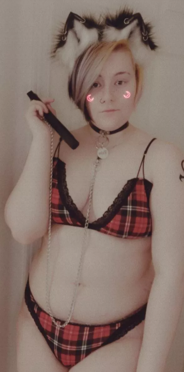 (F19) leashed kitten! ⛓🐾