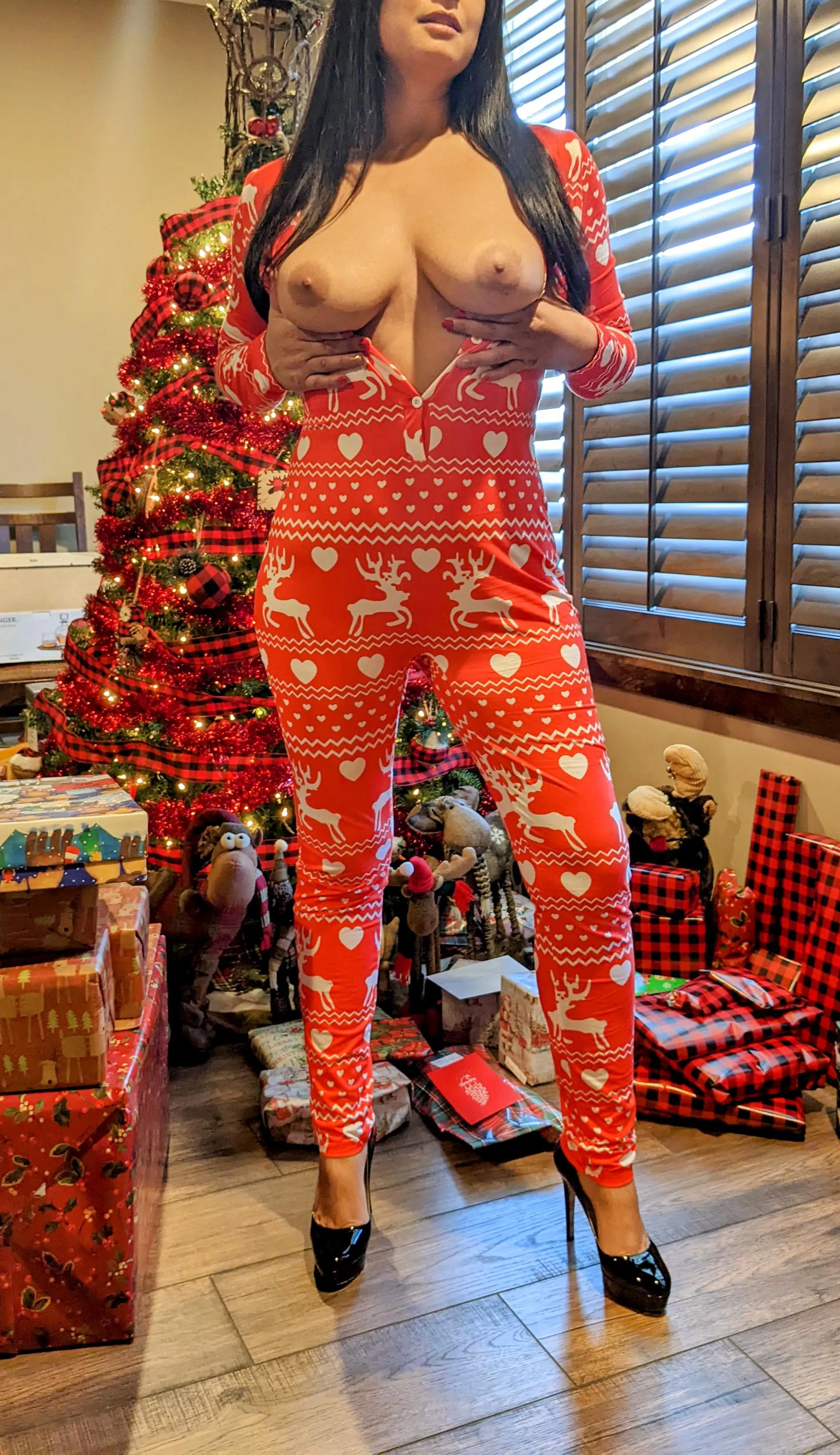 (F)40 Christmas cheer