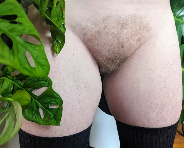 Fading summer thigh frecks & soft winter foliage.