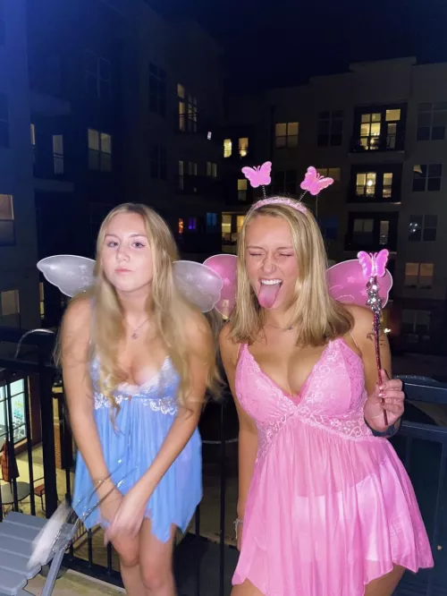 Fairies 🧚‍♀️