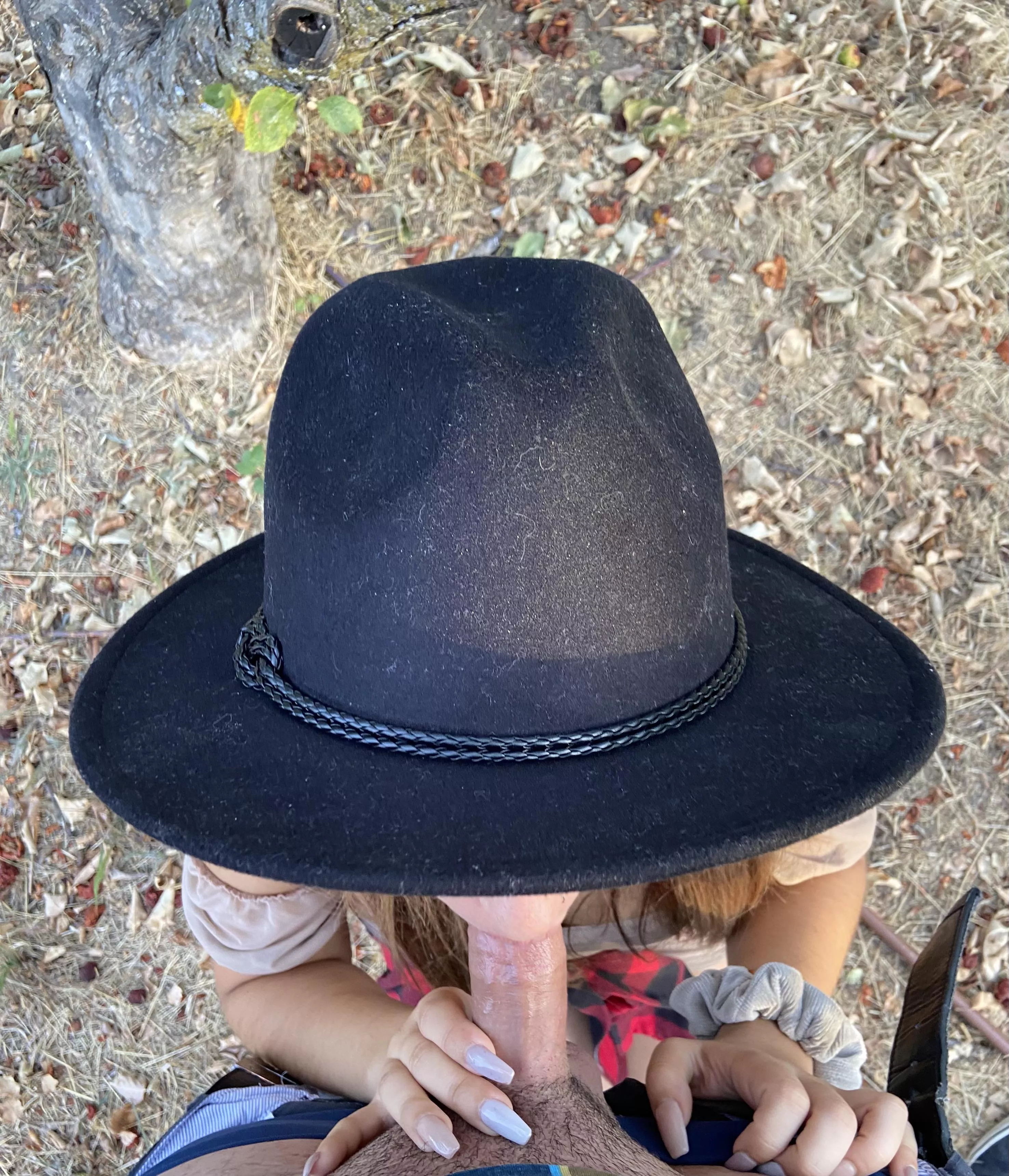 Fall means getting your cock sucked in an apple orchard 🍂 Fall means getting your cock sucked in an apple orchard 🍂