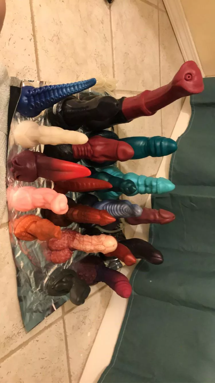 Family picture time! ☺️💕💕💕