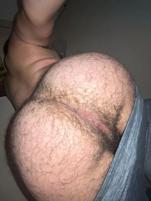 fbottom98 is my snap is you like hairy ass ha