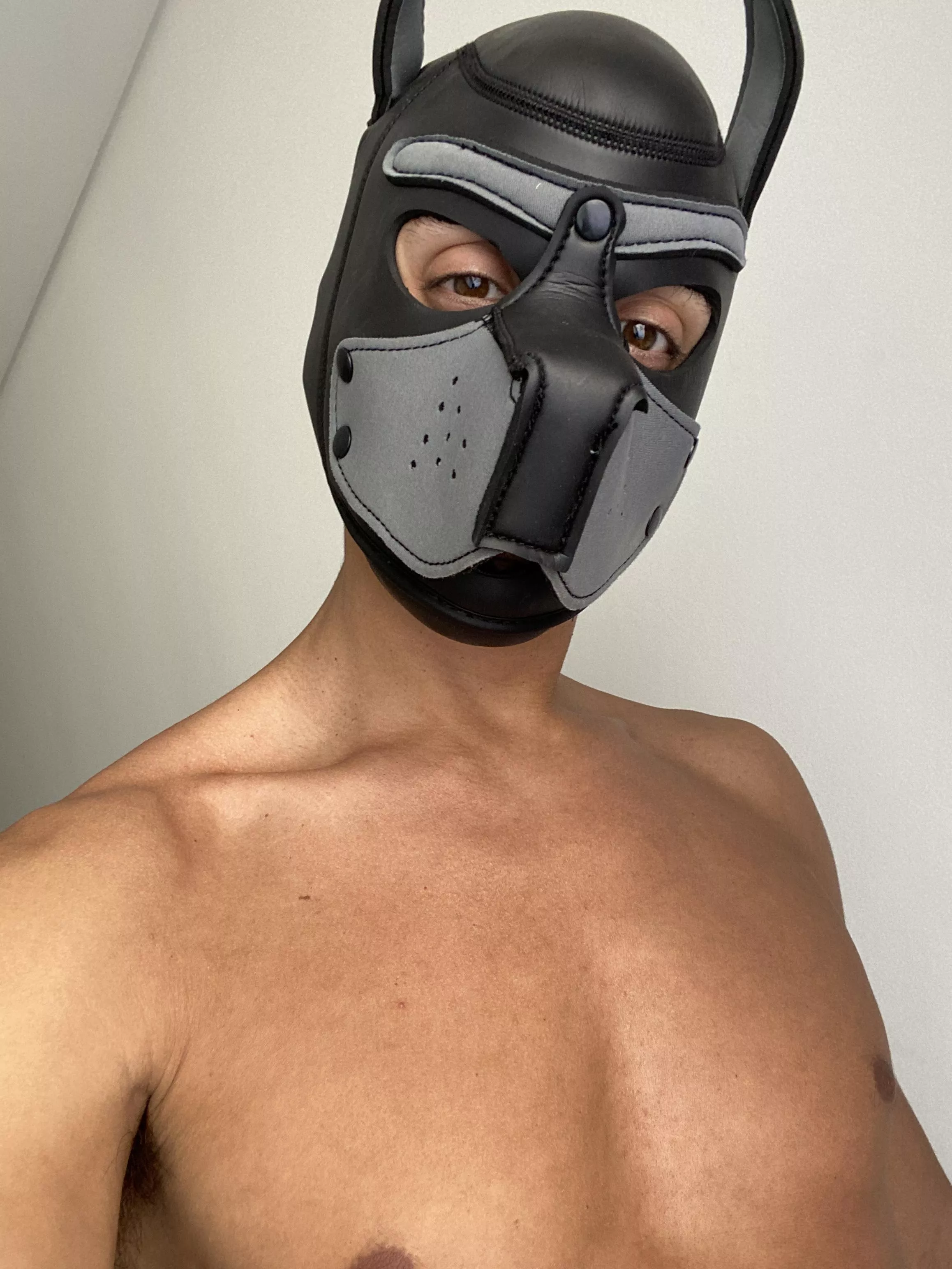 Feeling a bit tired today, but up to some playing 😊