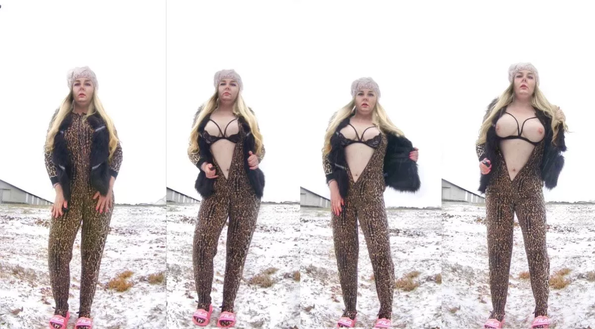 [f]eeling frisky – rawr