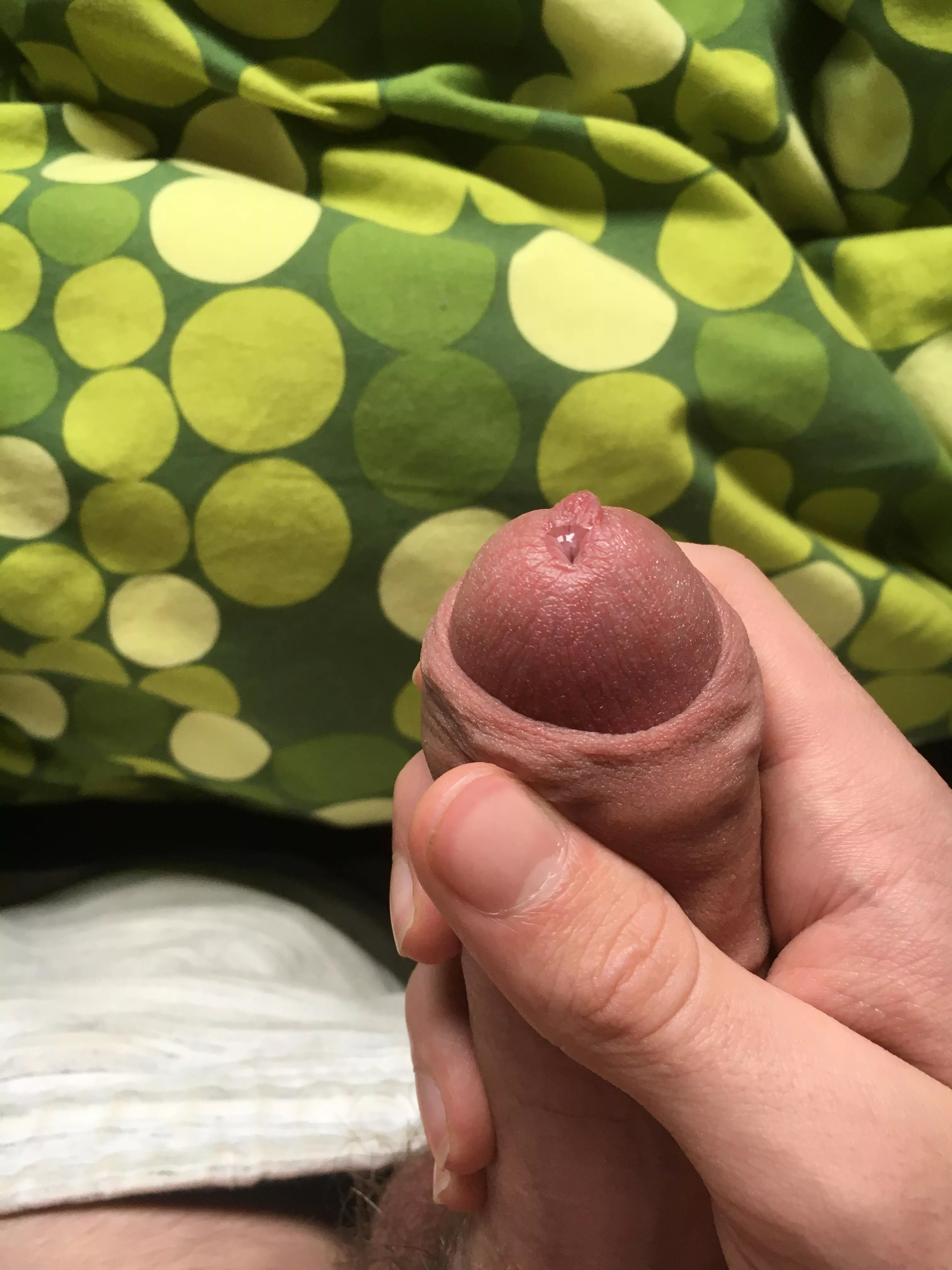 Feeling horny, dms are open