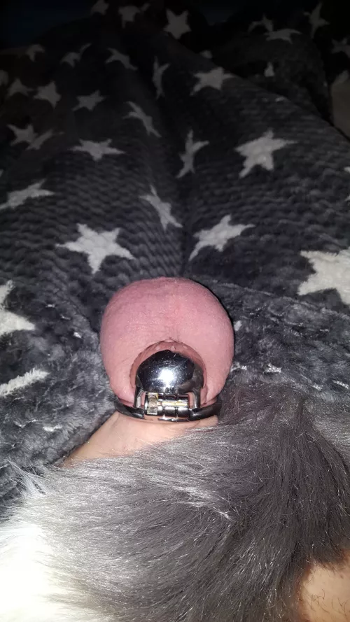 Feeling kinda cute today with that tail-plug....