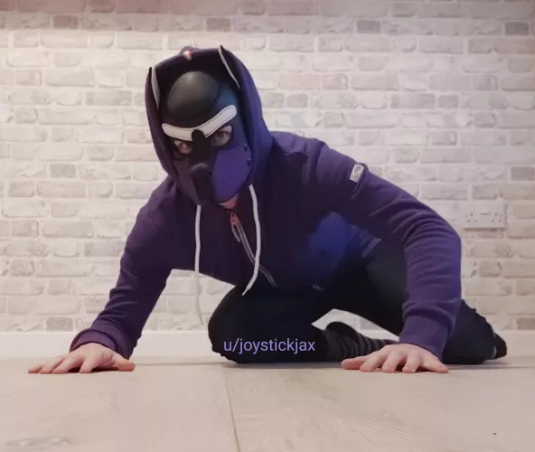 Feeling playful arroo!