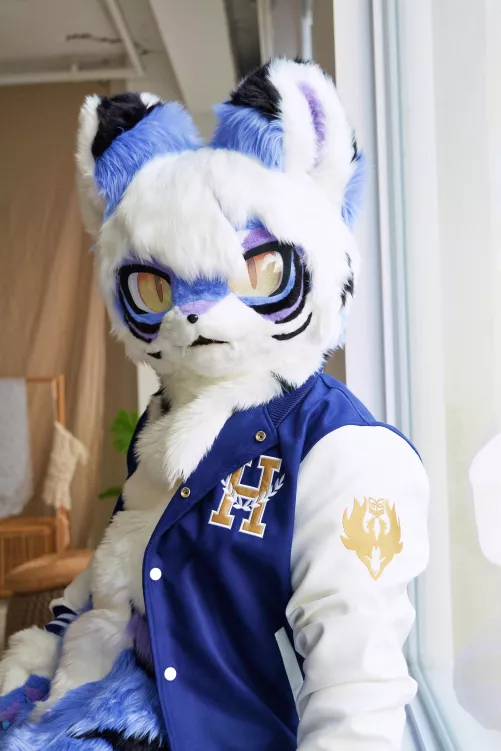 Felt Cute, Might Delet Later :p