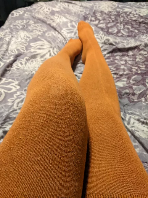 [female] Rediscovered an old favorite. DMs open.