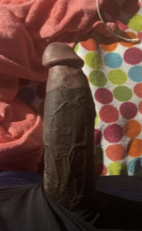 Femboy sissies hmu