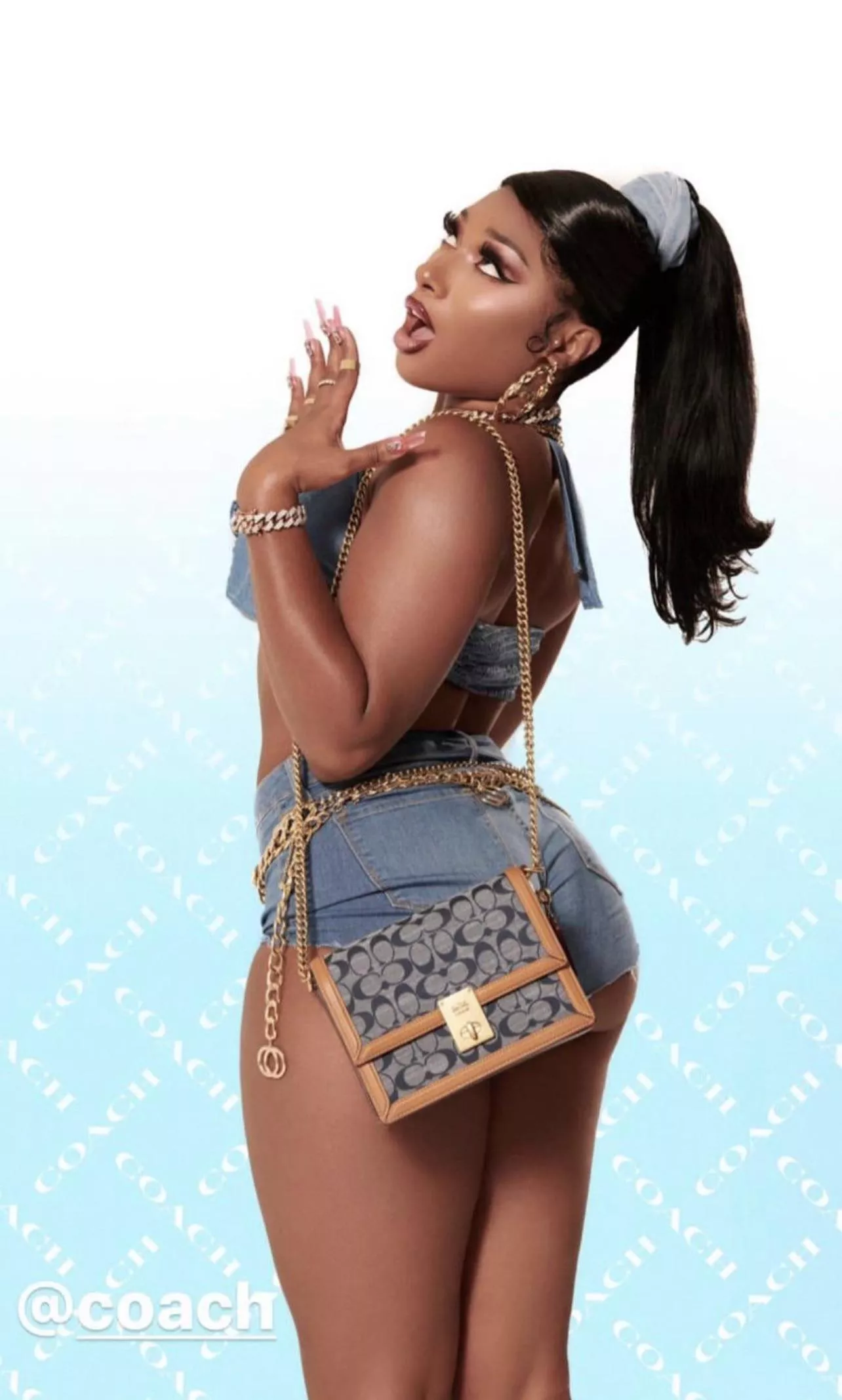 Femdom RP plot in mind for someone can play Megan Thee Stallion Femdom RP plot in mind for someone can play Megan Thee Stallion