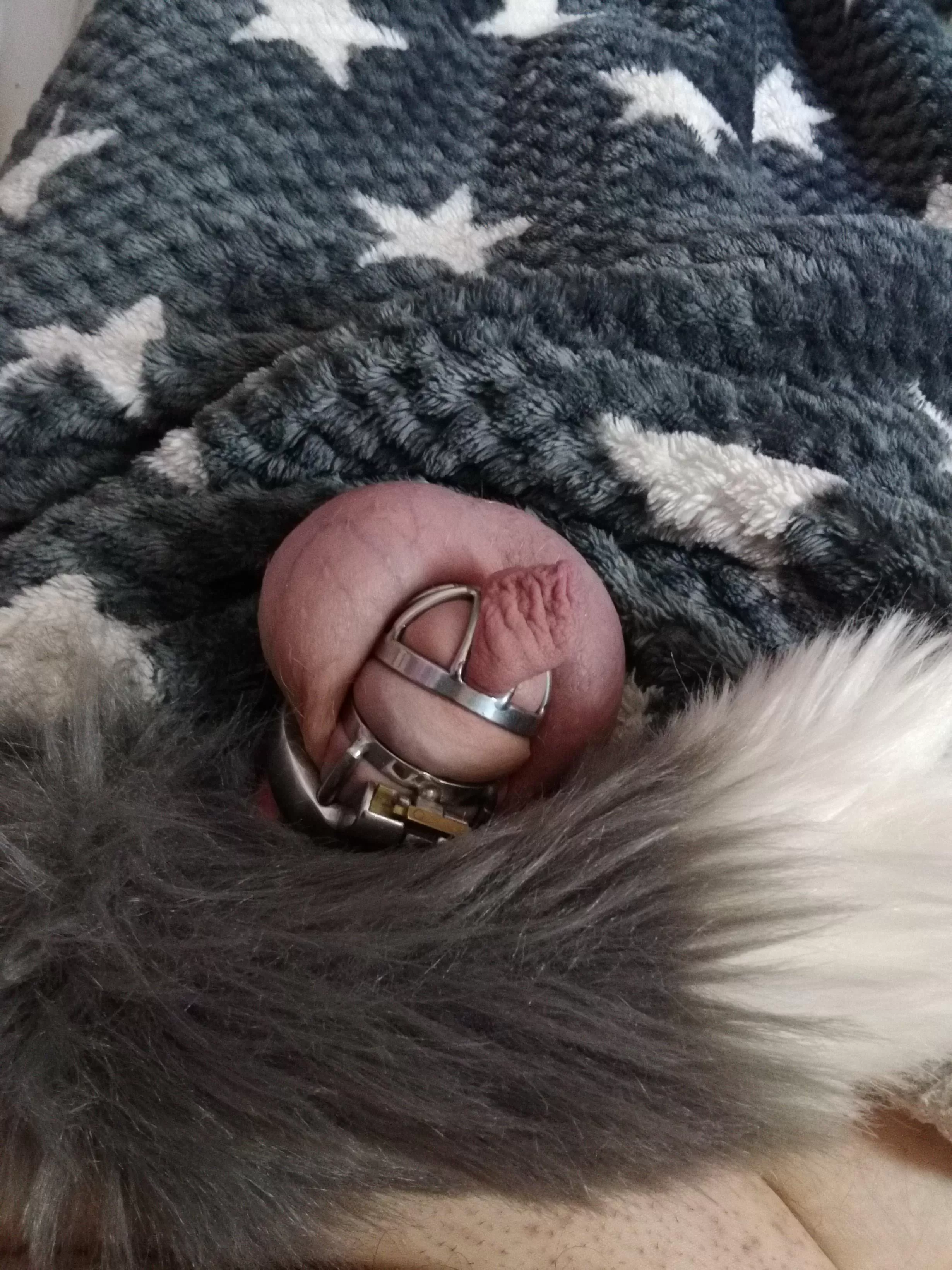 Finally accepted my fate and glued the lock shut. Feels definitely different since it's permanent now. Any of you in permanent chastity as well? Finally accepted my fate and glued the lock shut. Feels definitely different since it's permanent now. Any of you in permanent chastity as well?