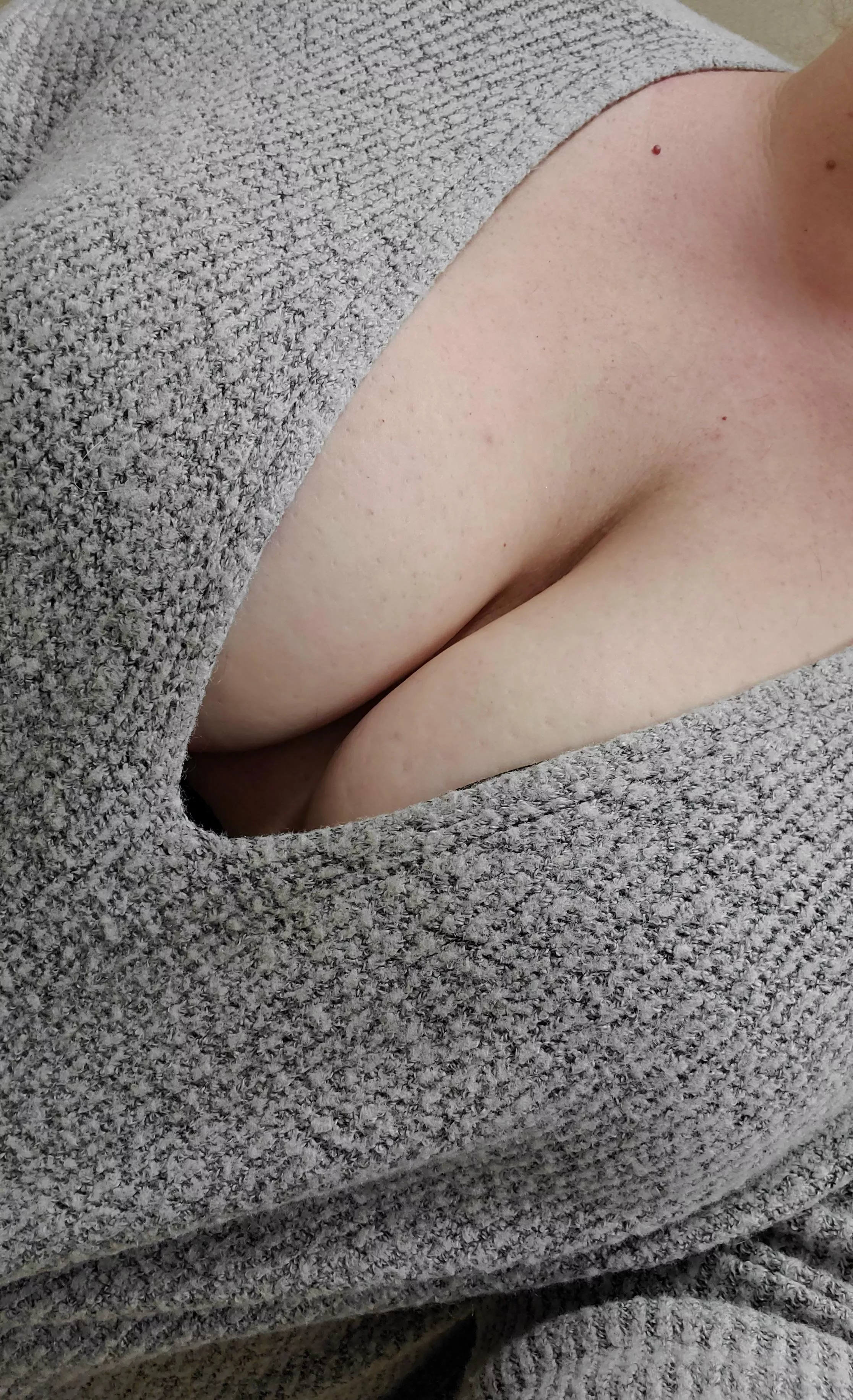 Finally some sweater puppy weather! 🐶