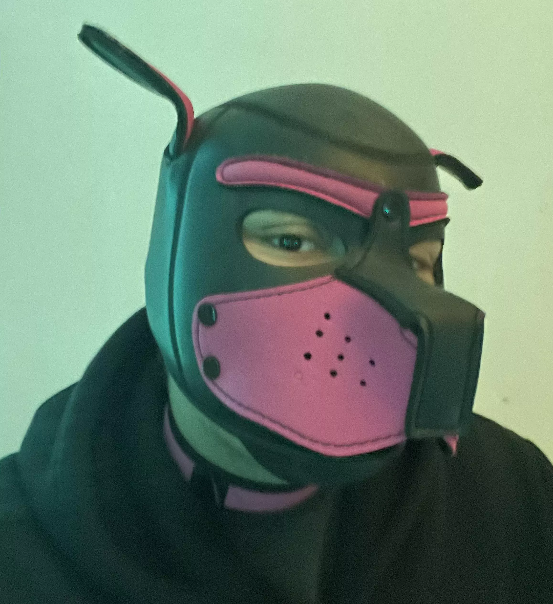 Finally took some pics :3