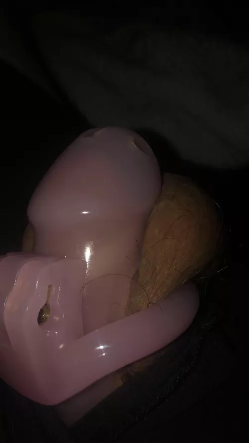 first cage-didn’t realize how much I’d love it until I tried it