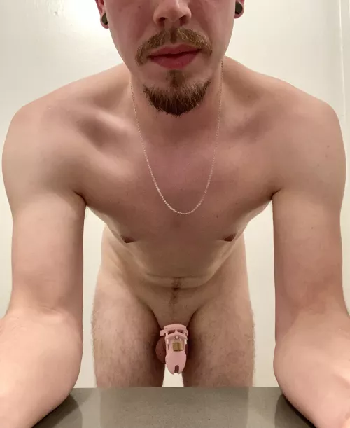 First day locked up! Giving this a try. Shaved and put it on this morning. Couldn’t resist ruining my hole with a dildo in the shower.