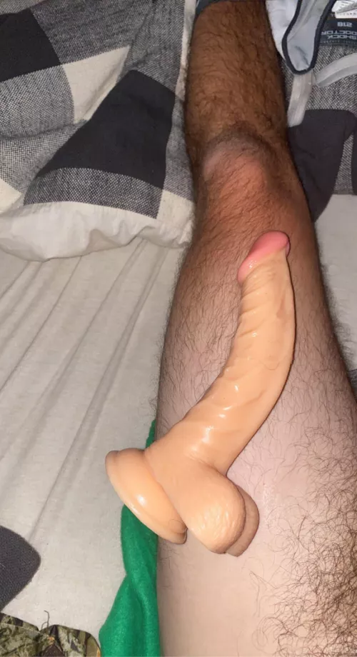 First dildo go big or go home