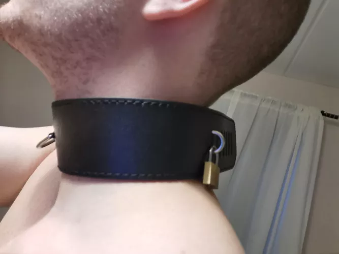 First lockable collar, love it! Now someone needs to attach a leash to it...