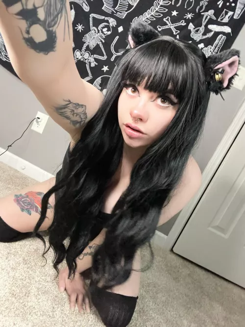 First post here! I felt cute with cat ears ☺️