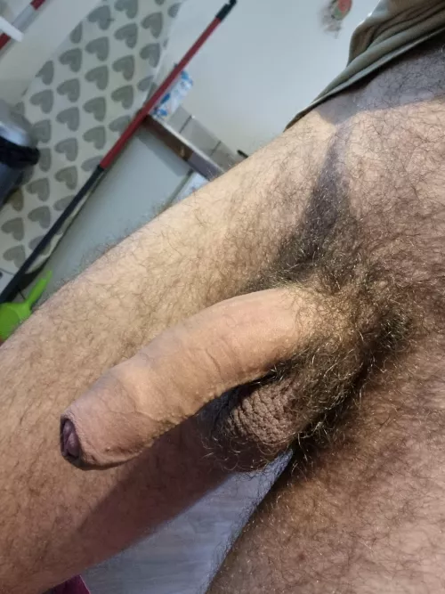 First post here, what do you think?