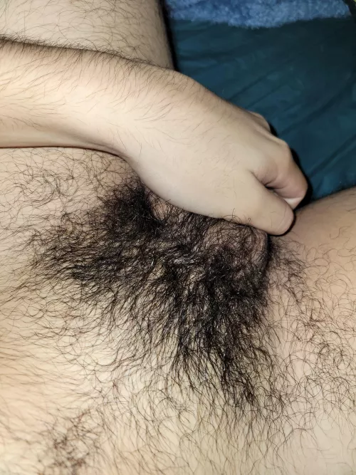 First post what do yall think