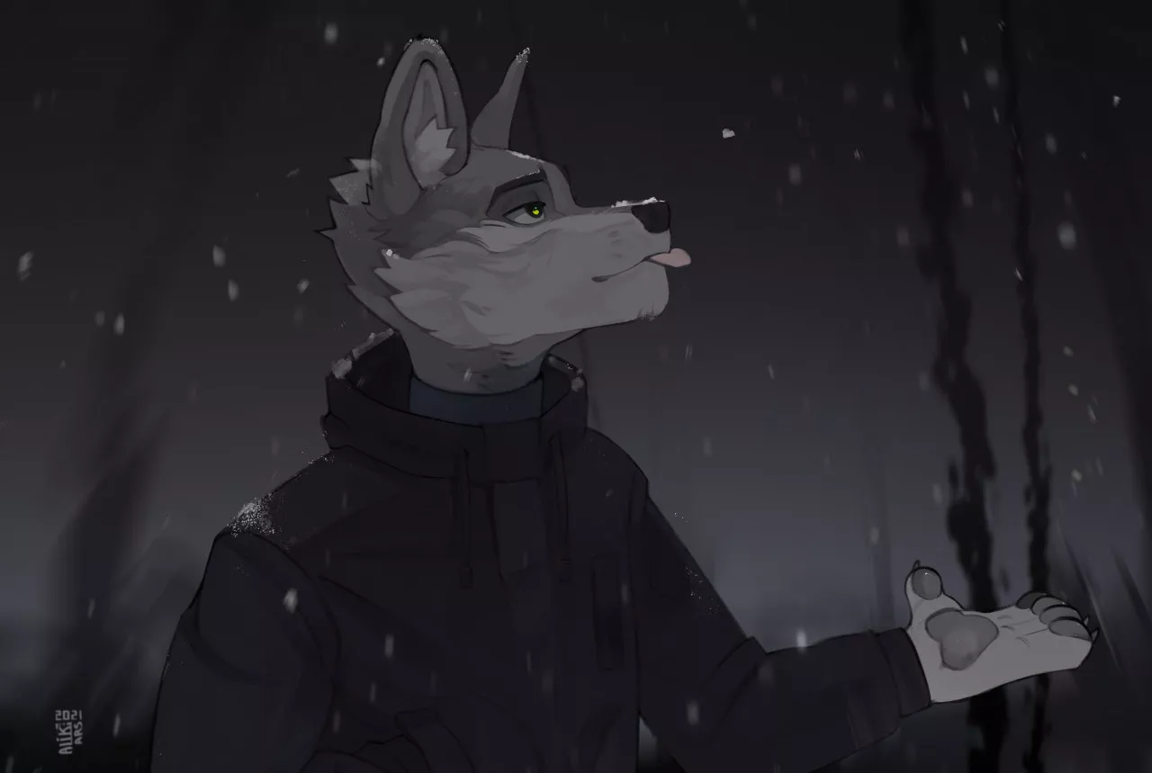 First snow By AlikArs