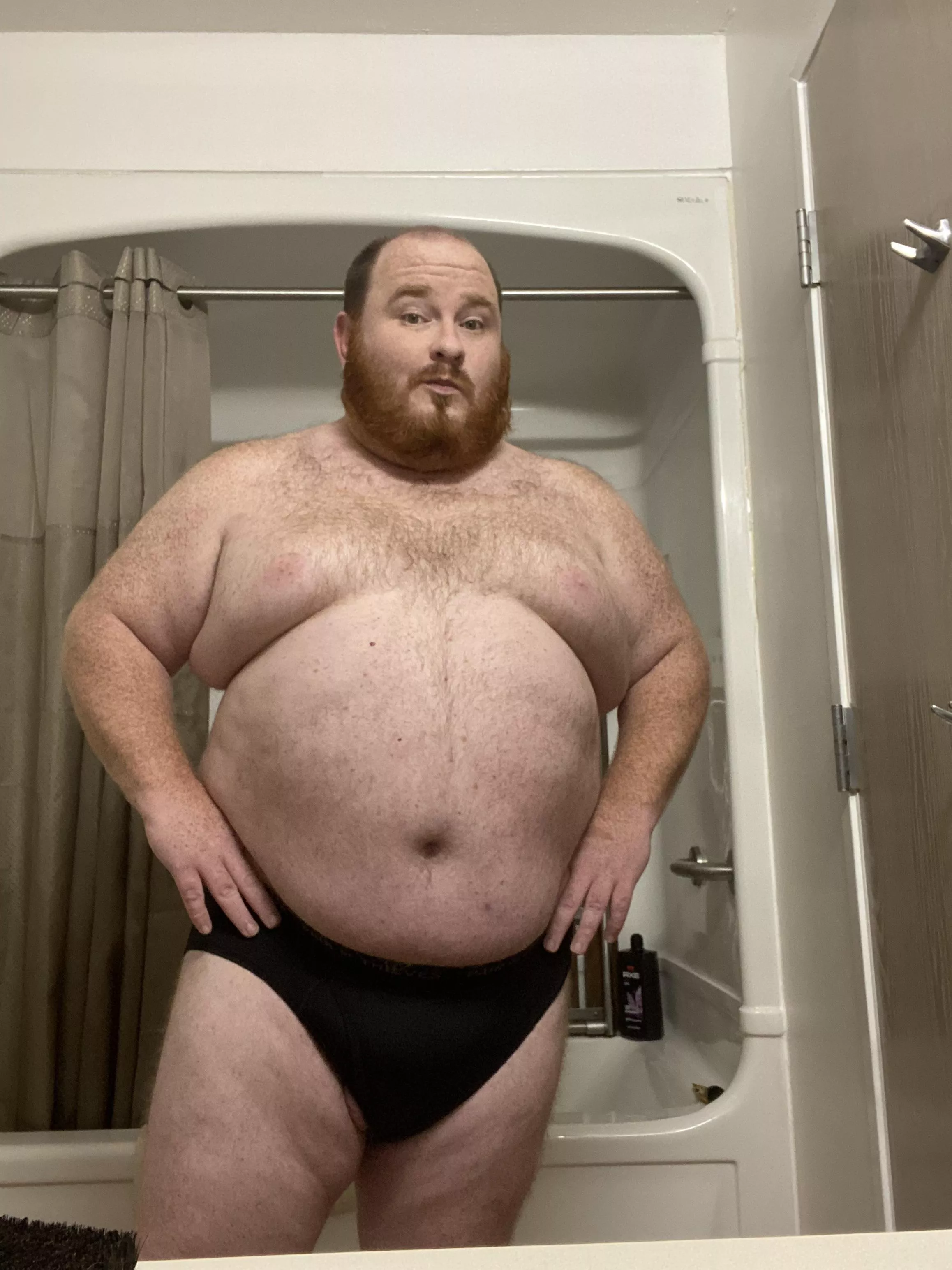 First time owning regular briefs in ages. What do you think?