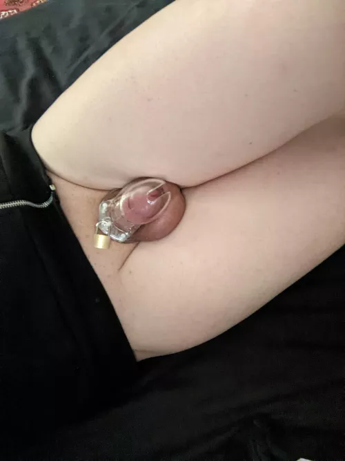 First time wearing a cage, I've not taken it off for 6 hours! 🤤 It's everything I wanted!