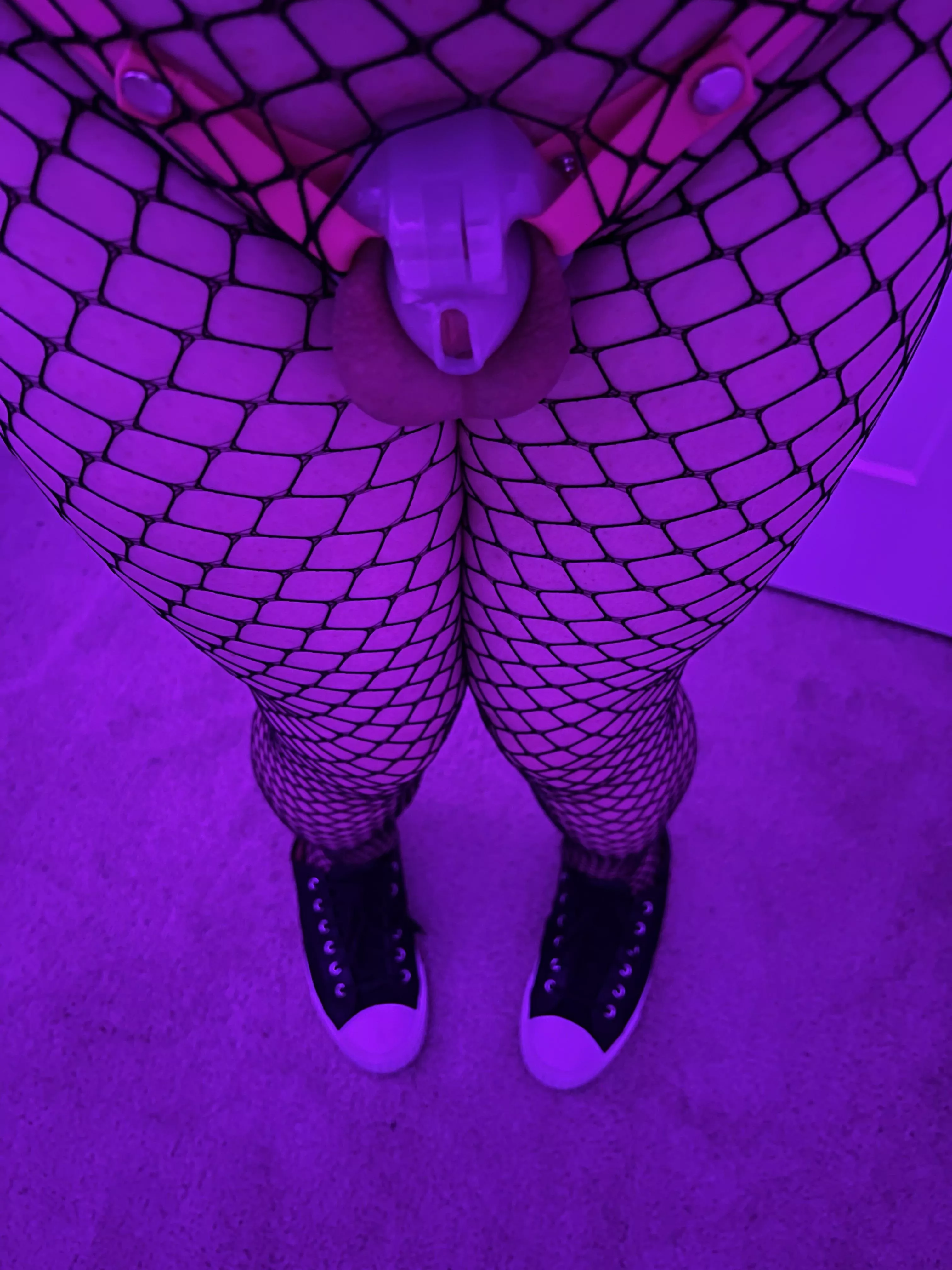 Fishnet Friday in full effect