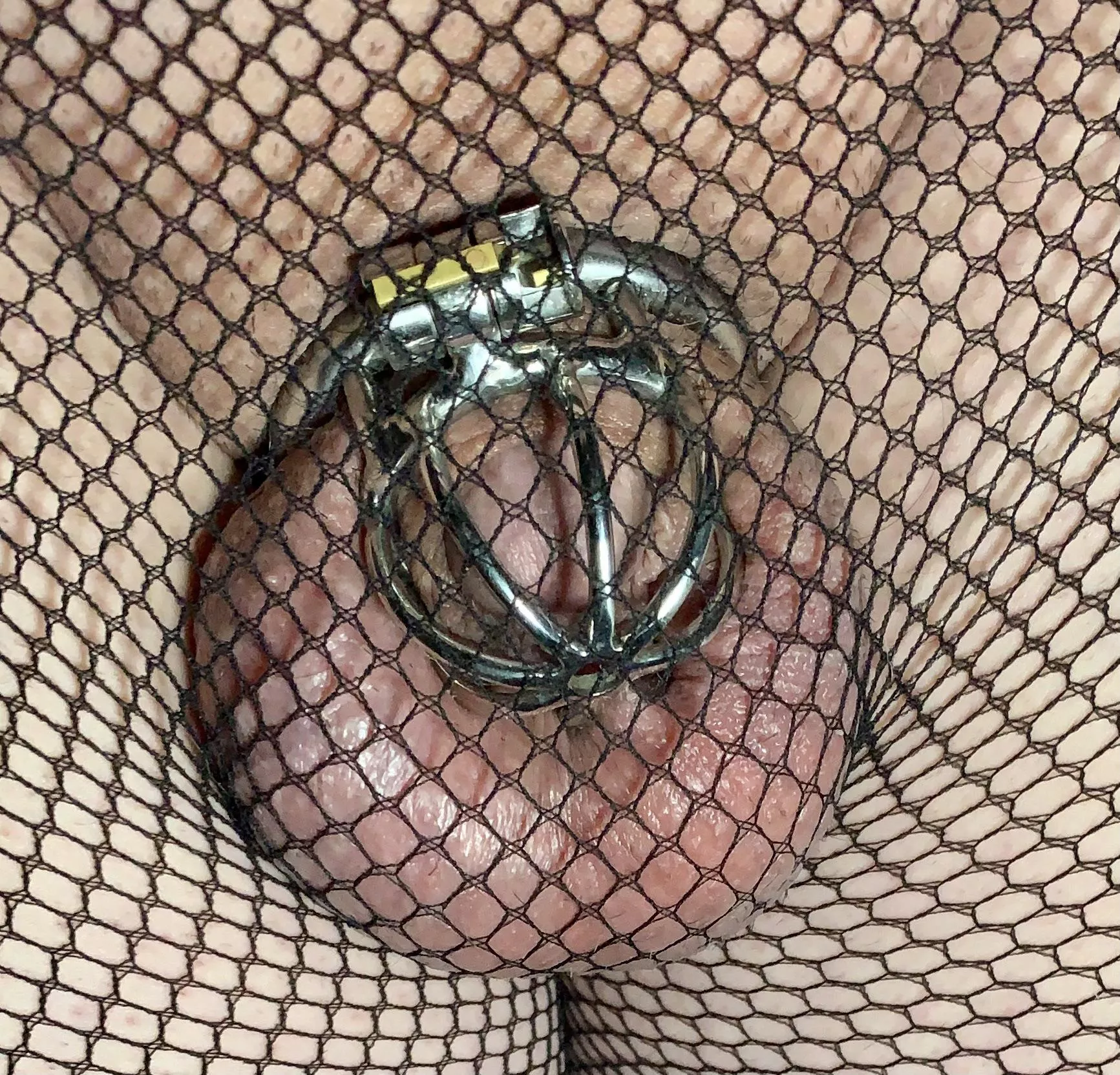 Fishnet Friday! 🎀