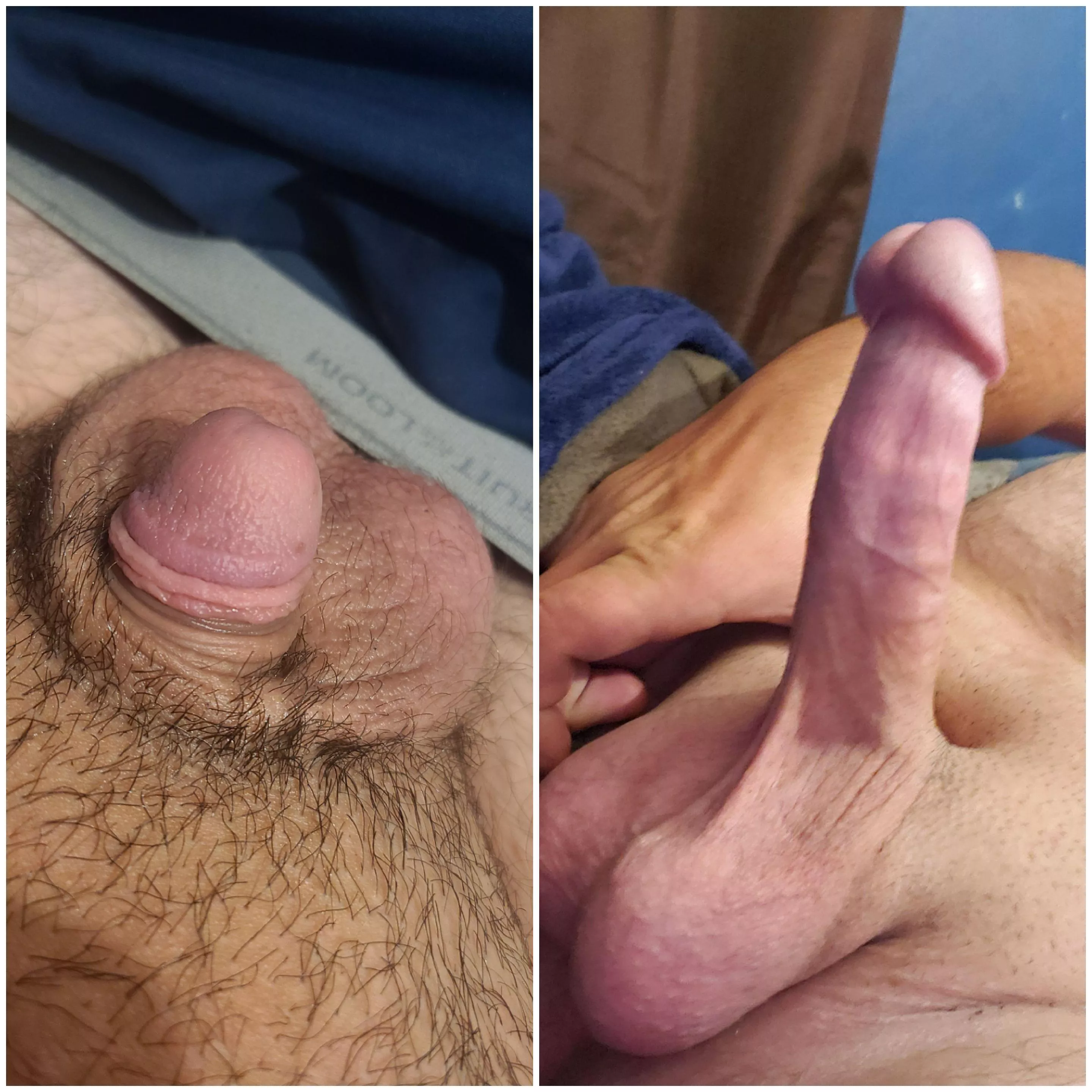 Flaccid to Hard. What do yall think? (21) Flaccid to Hard. What do yall think? (21)