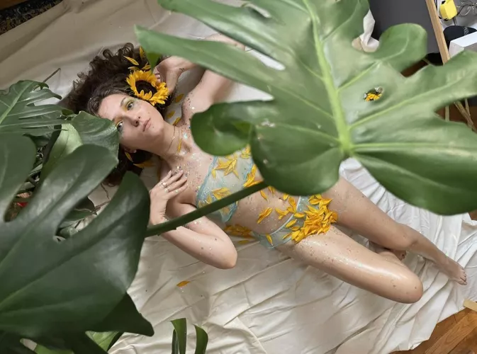 flowers and petals covering my flowers and petals [f]