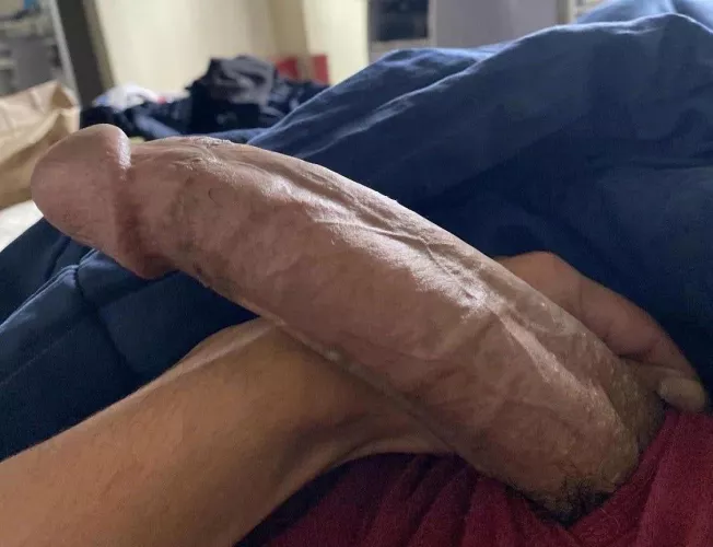 For those who stopped scrolling, would you suck my cock?