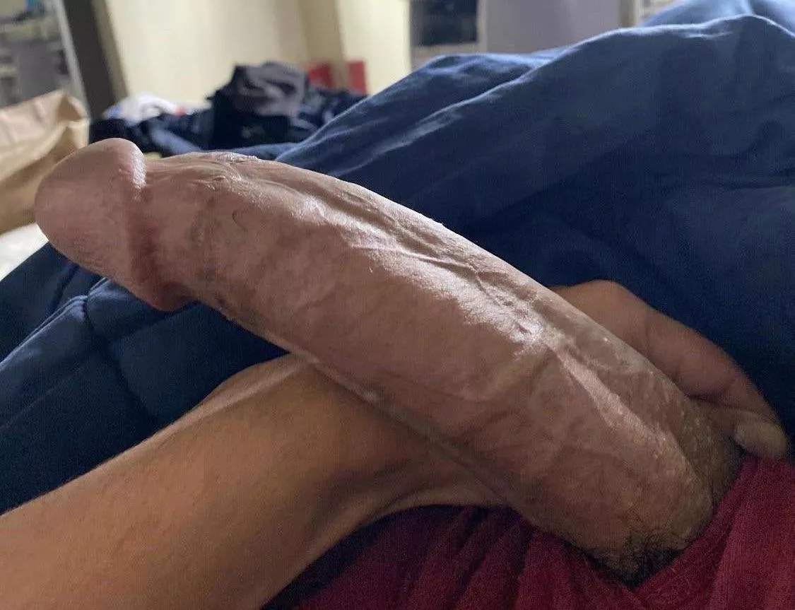 For those who stopped scrolling, would you suck my cock?