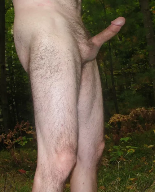 Forest fun - 50/Str8/cut