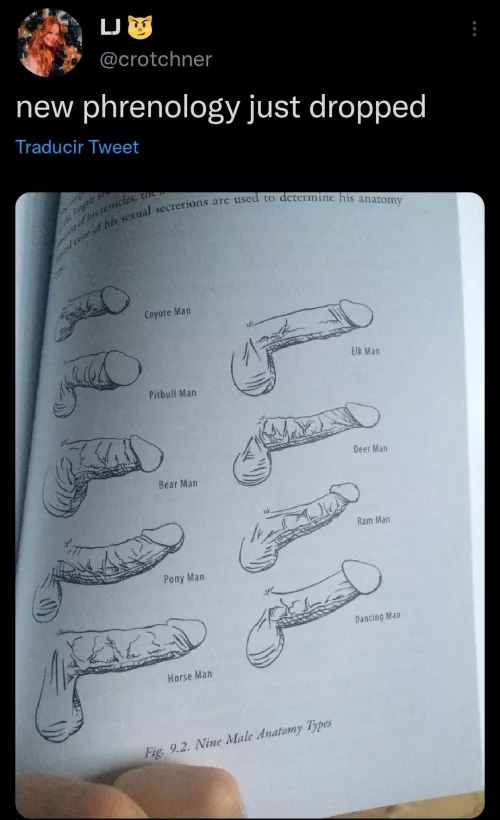 Forget about your Zodiac sign, what kind of Penis Man are you?