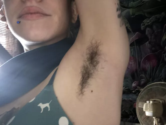 Forgot to show you my updated pits. Getting super hairy. Time to bury your face in for the winter π